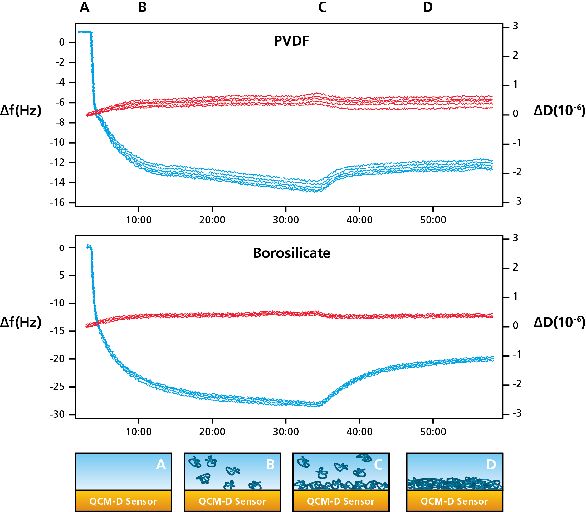 Adsorption and desorption How to measure with QCMD